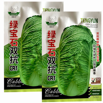 白菜种子绿宝石双抗根肿耐抽薹油绿高产抗病耐热寒球紧实大田基地
