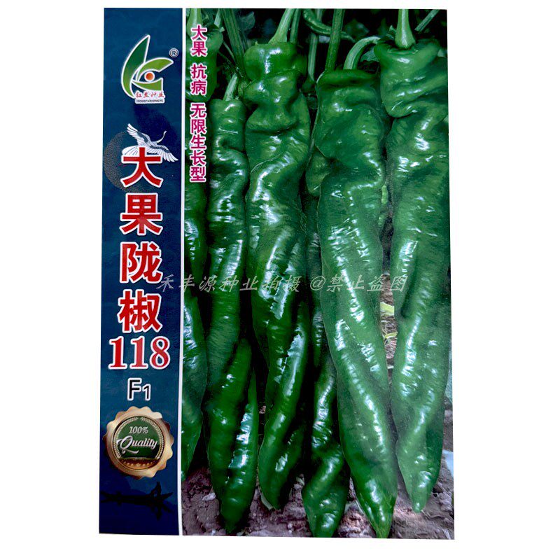 大果陇椒118辣椒种子中早熟椒型顺直膨果快皮薄辣味浓香大田基地