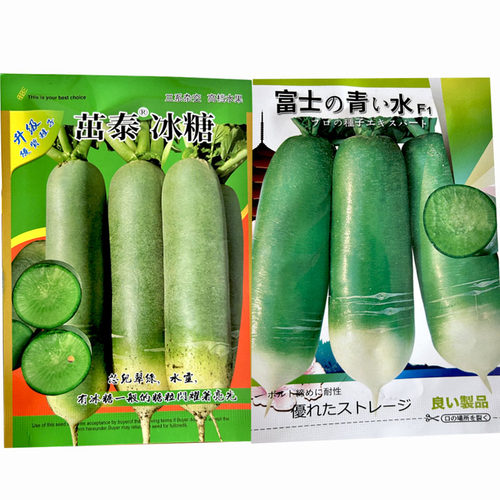 茁泰冰糖水果萝卜种子