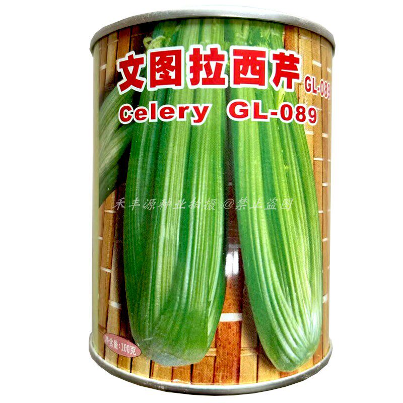 广良种子文图拉西芹种子100g进口早熟西芹籽种淡绿色大芹菜耐抽苔