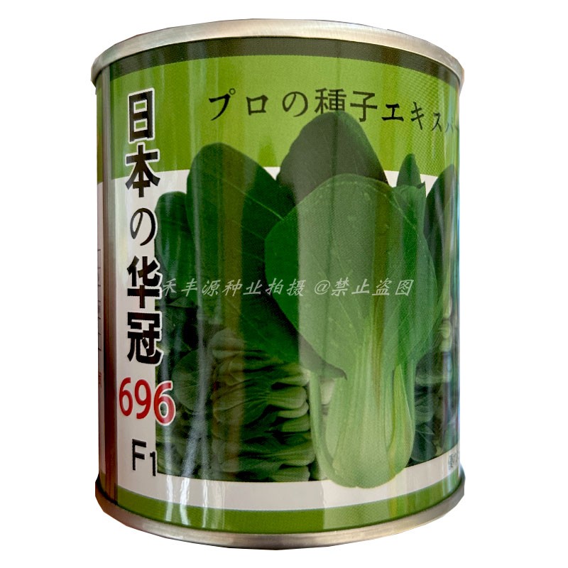 日本腾运华冠698青梗菜种子100g早熟耐寒耐抽青油菜矮脚束腰青梗