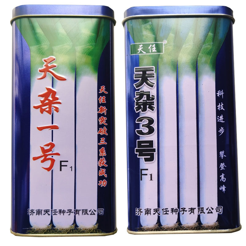 天杂一号/三号大葱种子巨葱种籽葱白嫩香甜三系大葱种抗病强基地