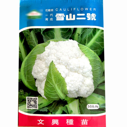 雪山二号70天60天花椰菜种子