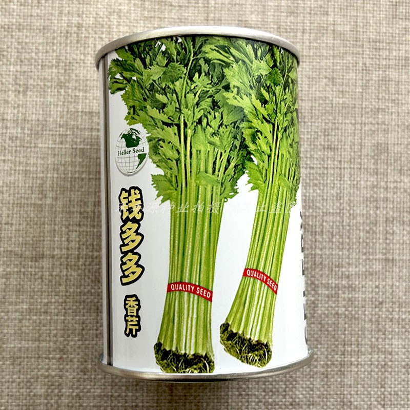钱多多香芹四季播种小芹菜种子耐热耐寒抗病易活高产绿色无公害