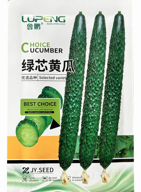 鲁鹏绿芯黄瓜种子绿皮绿肉抗病高产耐热耐寒春秋播蔬菜种籽孑