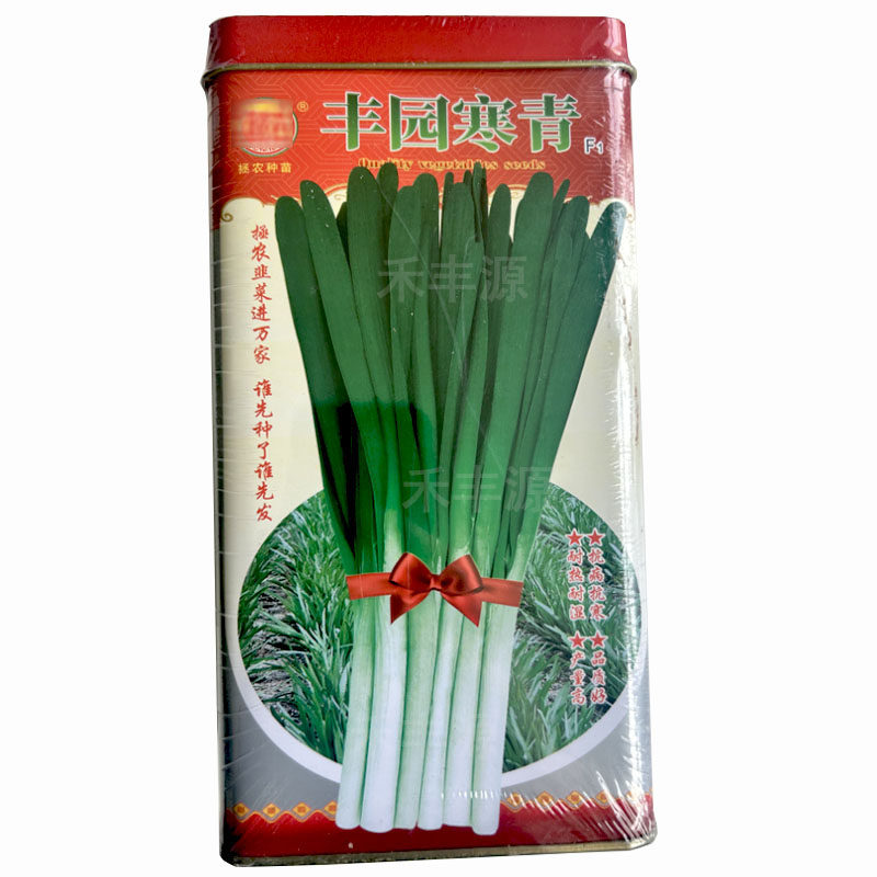 丰园寒青韭菜种子 不休眠抗寒高产耐热耐湿韭菜种籽四季蔬菜种孑