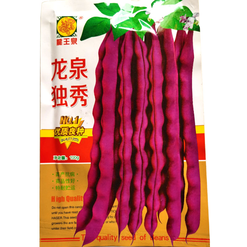 龙泉独秀芸豆种子紫红九粒红100g芸豆角春秋紫豆架芸豆角籽蔬菜种