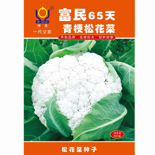 富民65/75/85天白花菜种子耐热耐寒青梗花椰菜种籽农家春秋季播种