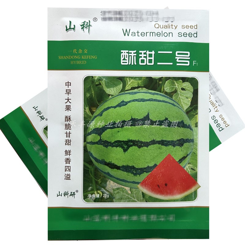 酥甜二号中熟大果耐裂麒麟西瓜种子25g圆球形花皮红肉西瓜籽