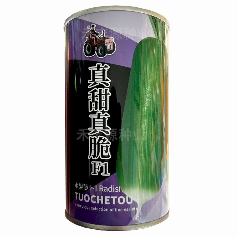 绿玉甜脆水果萝卜种子