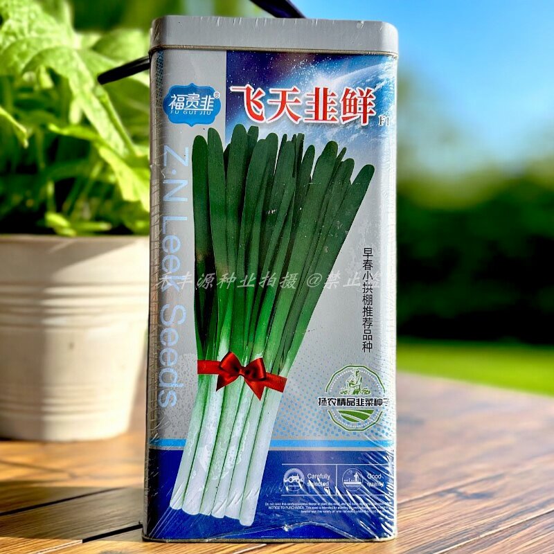 韭菜种子飞天韭鲜韭菜种籽250g叶片宽大肥厚叶深绿休眠韭菜种籽
