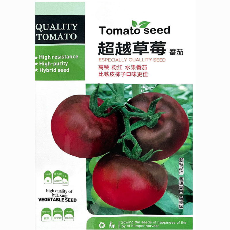 草莓番茄种子春秋季越冬秋铁皮