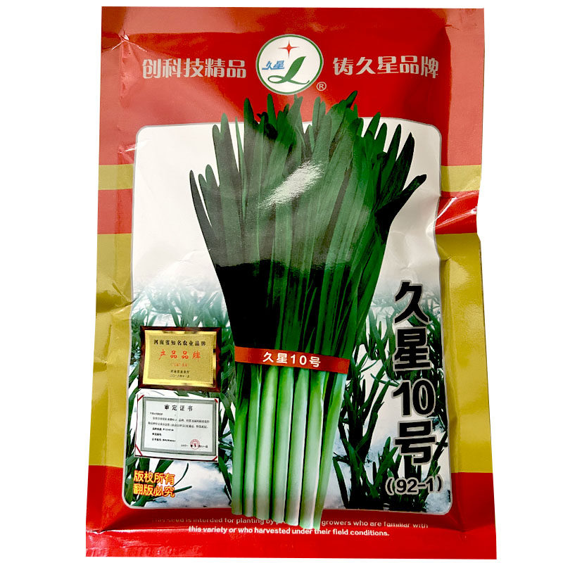 久星10号韭菜种子不休眠抗寒强抗病优质青白色根香辣味大田基地品