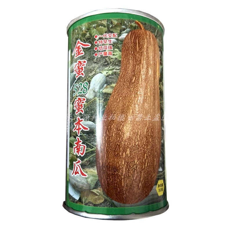金蜜528蜜本南瓜 早生正宗蜜本南瓜种子结瓜强产量高大全超甜粉糯
