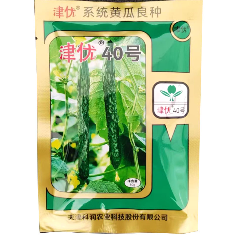 津优40号黄瓜种子四季种植研究所精选大田抗病高产适强杂交包邮