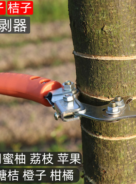 砂糖桔101蜜柚桔子102环割刀开口闭口环剥刀果树可调节环剥器柑橘