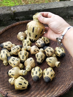 贵州精致手工竹编蚂蚱笼蚱蜢笼昆虫笼饲养笼蝈蝈笼竹制蛐蛐笼虫具