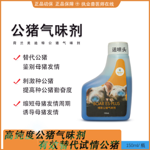公猪气味剂猪用诱情剂发情试情排卵荷尔蒙喷雾剂荷兰进口促发情