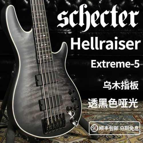 SchecterHellraiserExtreme5弦