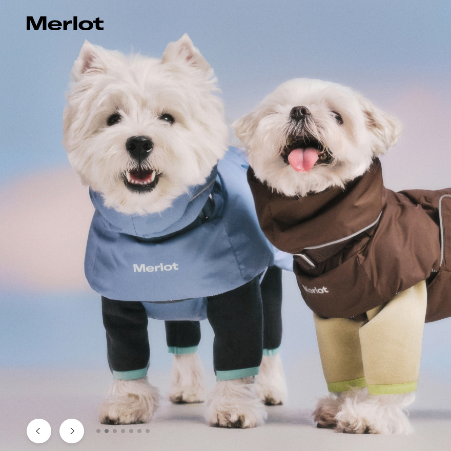 韩国Merlot狗狗防水保暖羽绒服