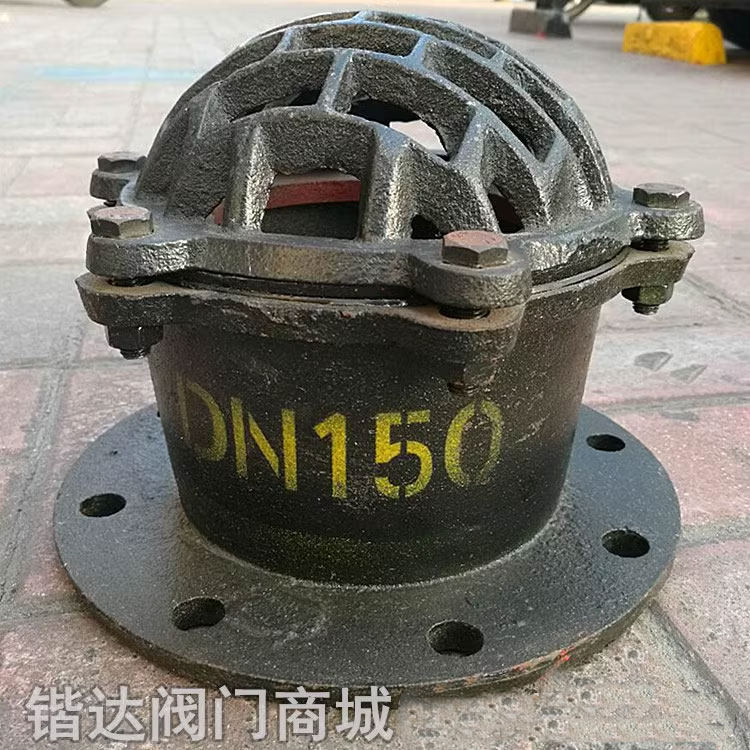 H42X-6铸铁法兰底阀铸铁阀门图片