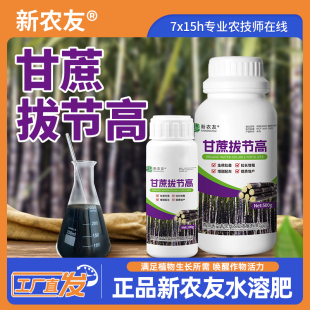 甘蔗拔节高改善品质壮苗土壤抗旱增甜膨果催熟