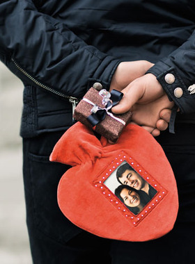 德国进口FASHY紫色麋鹿套心形pvc热水袋6521冲水热水袋0.7L