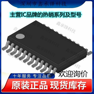 原装正品 PCM1789TPWRQ1 PCM1789 ADC/DAC-专用型 封装TSSOP-24