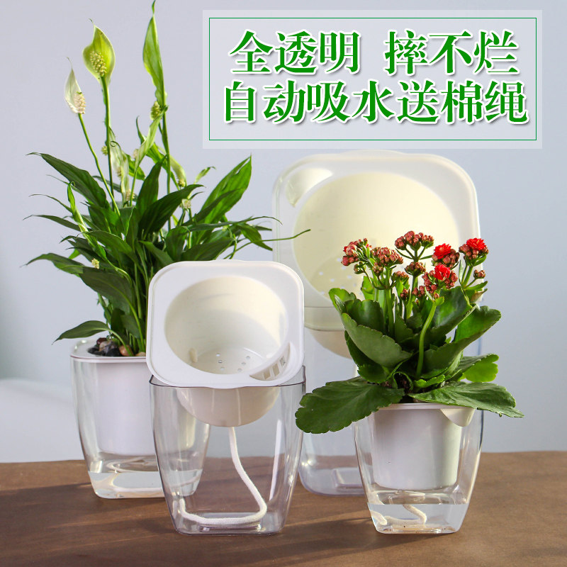 方形透明懒人自动吸水花盆水培绿萝白掌花瓶水培植物花盆树脂花盆