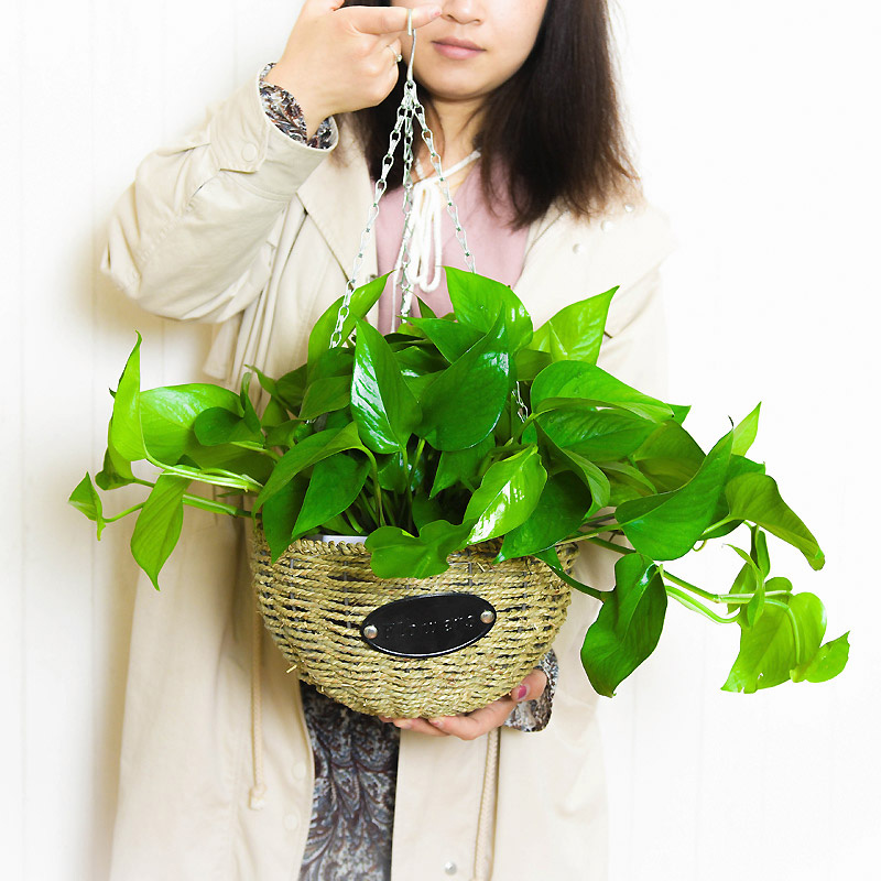 吊篮花盆绿萝草编吊盆垂吊盆吊花盆悬挂式吊兰花盆