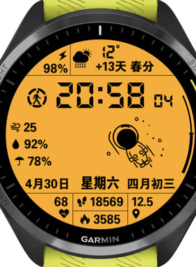 佳明表盘FR255S 安夺245 garmin265 965 fenix8 飞7X运动手表授权