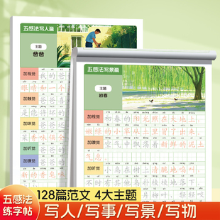 五感法扩句法练字描摹本小学通用精选6大作文题型写作练字双提升