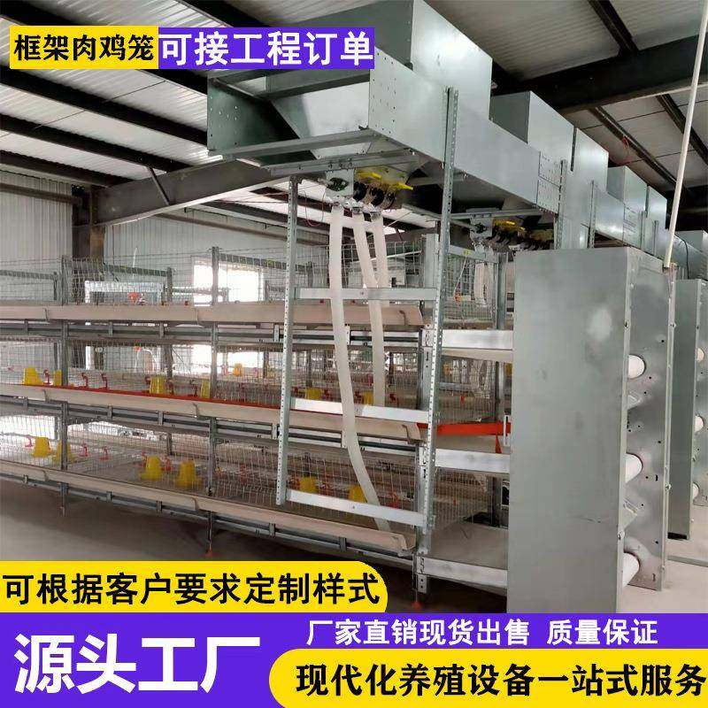 框架肉鸡笼全自动化养殖笼具层叠式肉鸡笼自动化清粪捡蛋肉鸡设备,农机/农具/农膜,农用防护器具,淘宝优惠券,粉丝福利购,淘宝优惠卷