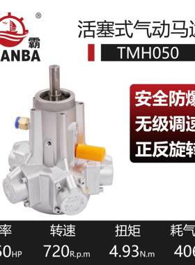 源霸气动马达无级调速TM050可配法兰减速机活塞式气动马达