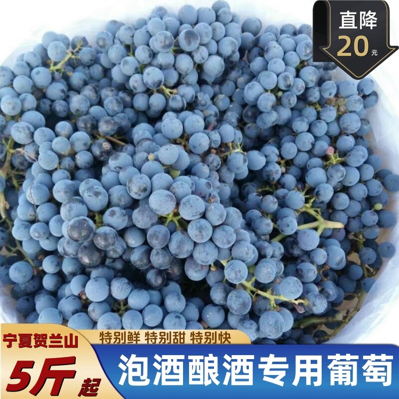 酿酒葡萄美乐酿酒葡萄山葡萄小马哥酿酒葡萄新鲜赤霞珠葡萄20斤装