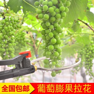 。葡萄猕猴桃膨果拉花神器浸果器巨峰夏黑红提套袋催红膨大雾化喷