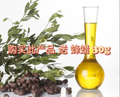 oil jojoba 阿根廷ECO送蜂蜡30g 有机霍霍巴油 初榨金黄荷荷巴油