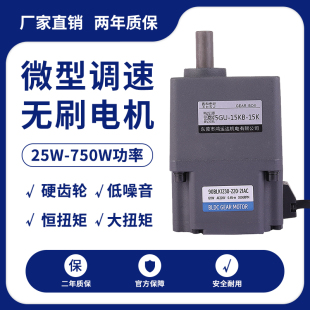 小微型直流无刷交流减速电机220v单相可调变速电机高速恒扭矩马达