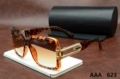 Tortoiseshell Color
