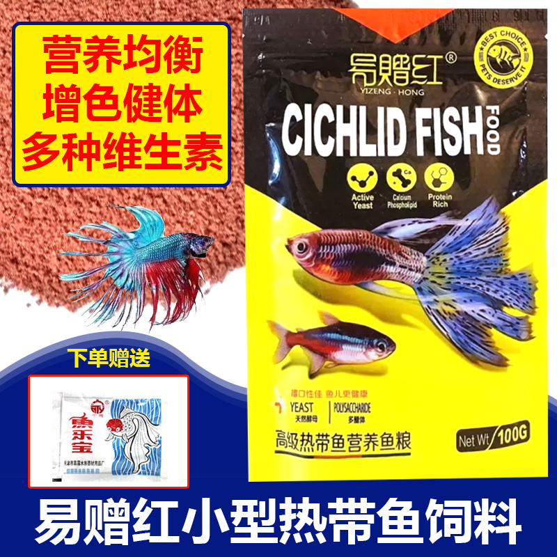 易赠红小型鱼孔雀鱼饲料灯科鱼