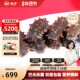 大连海参 晓芹 即食海参 冷冻海参900克30只海鲜水产