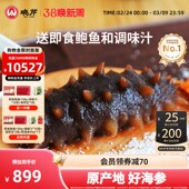 60只组合装 晓芹即食海参3斤大连辽刺参 深海底播海参1500克40