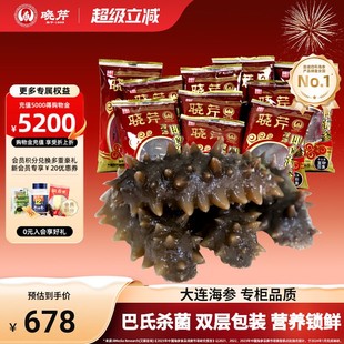 2袋 500g 大连辽刺参 40只 晓芹海参大连即食海参1000克30