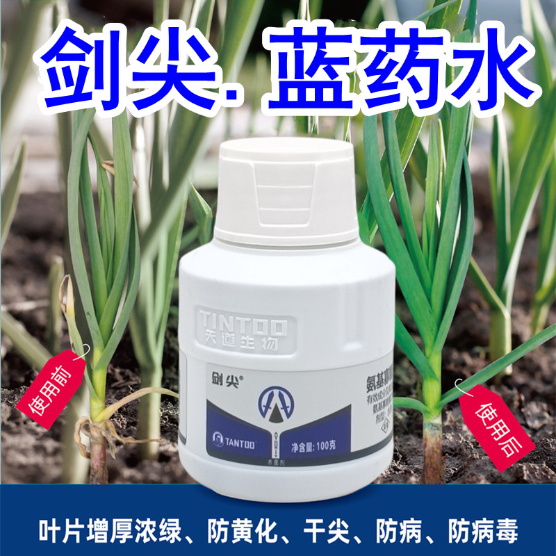 蓝药水农用大蒜洋葱大葱韭菜小香葱干尖黄叶上色增绿叶浓绿专用药