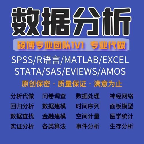 SPSS数据分析服务eviews实证Stata问卷调查meta医学amos统计R代做