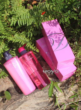 进口正品玫丽盼洗发水Dese黛SA飒丝露YI怡朵S洗护套装500m*2