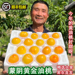 包邮 新鲜水果整箱顺丰 黄金油桃蒙阴纯甜黄桃应季