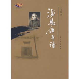 【正版包邮】 汤恩伯年谱 王文政　著 上海人民出版社