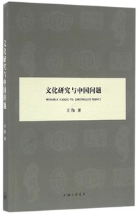 王伟 文化研究与中国问题 包邮 著 正版 上海三联书店