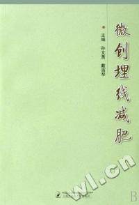 【正版包邮】微创埋线减肥孙文善戴淑琴上海中药大学出版社